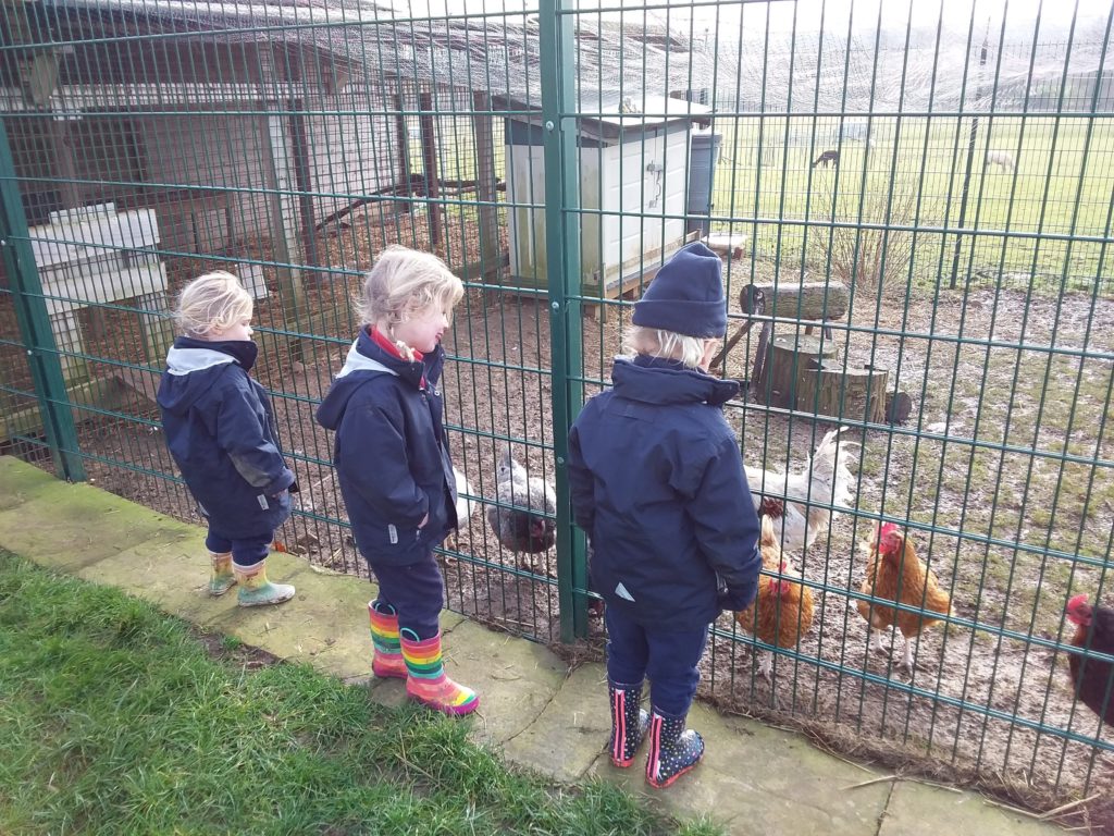 Animal Care, Copthill School