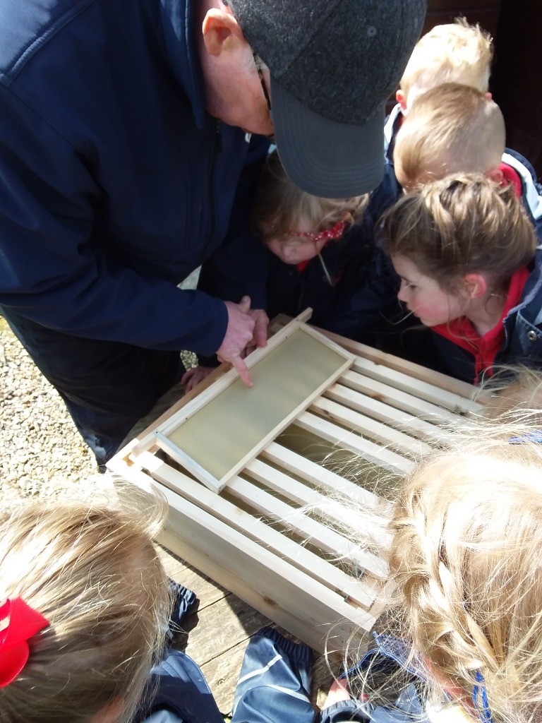 Bees, Copthill School