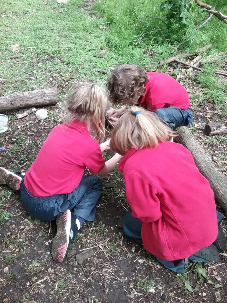 Owl&#8217;s and Observations!, Copthill School