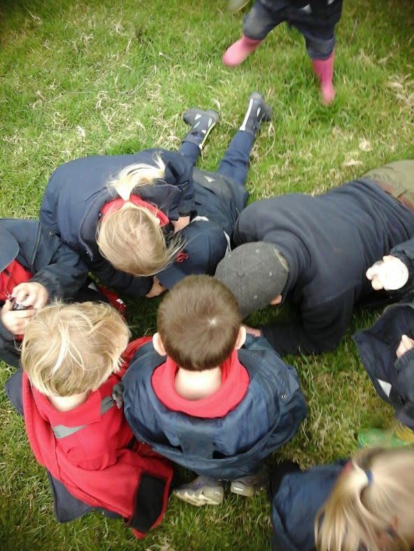Lots of Lovely Ladybirds!, Copthill School