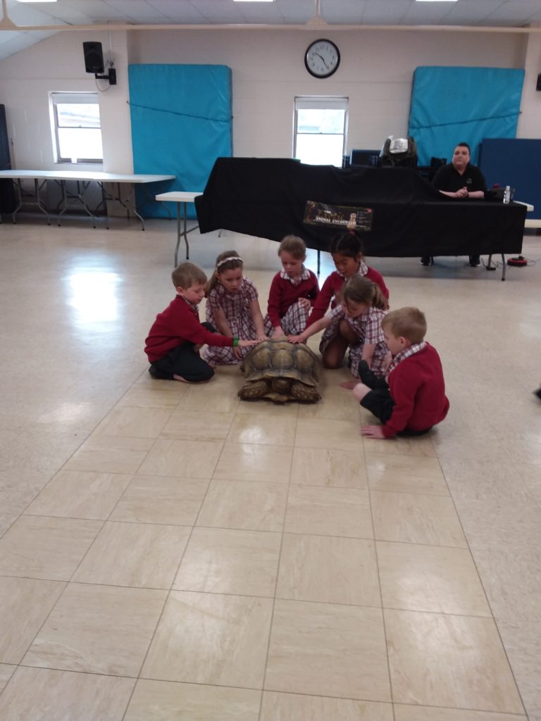 Snakes, spiders and so much more&#8230;, Copthill School