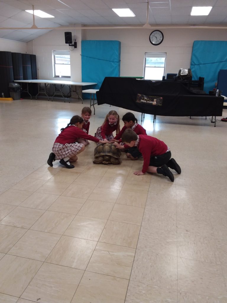 Snakes, spiders and so much more&#8230;, Copthill School