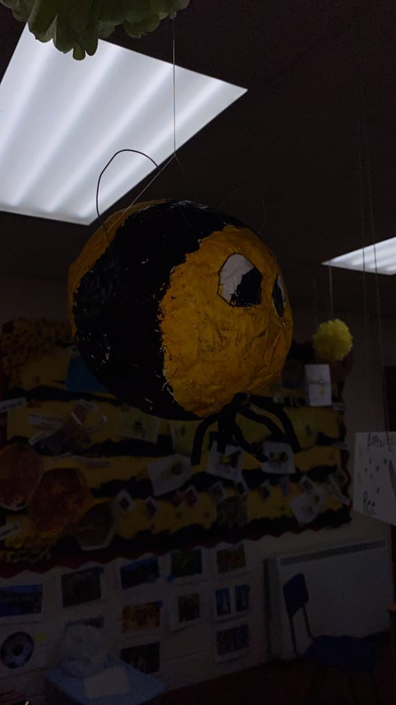 Bee Amazed!, Copthill School