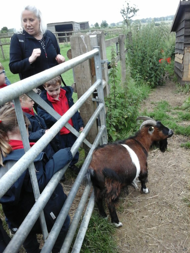 Sacrewell Farm Adventures!, Copthill School