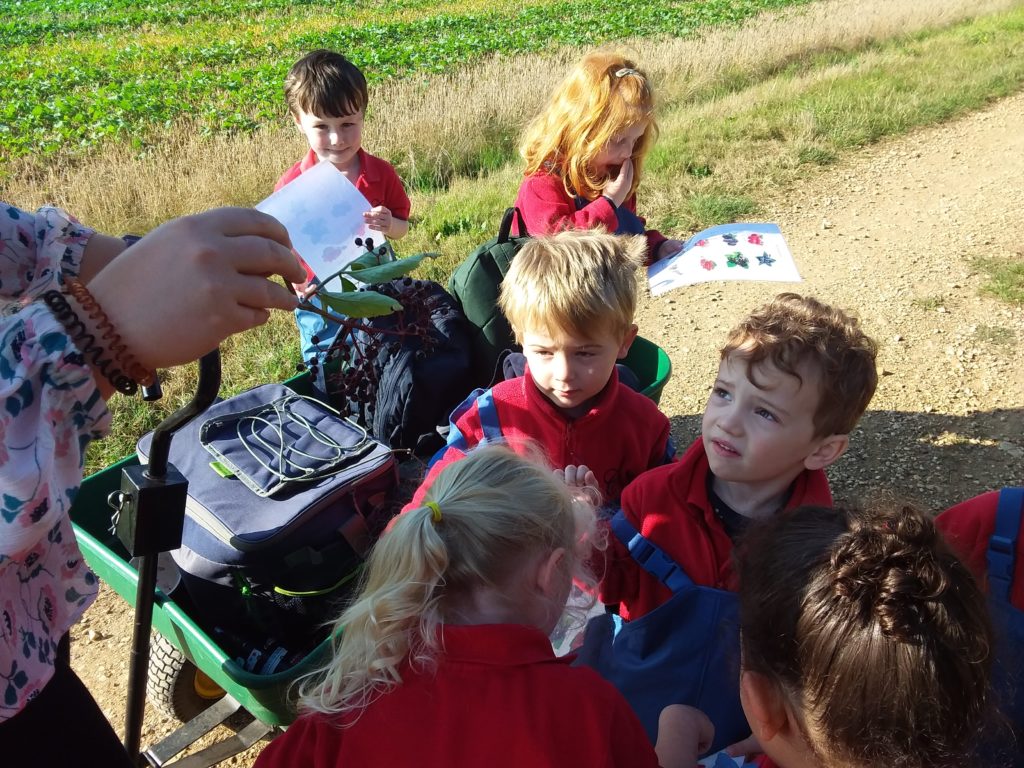 Blackberry picking, Copthill School