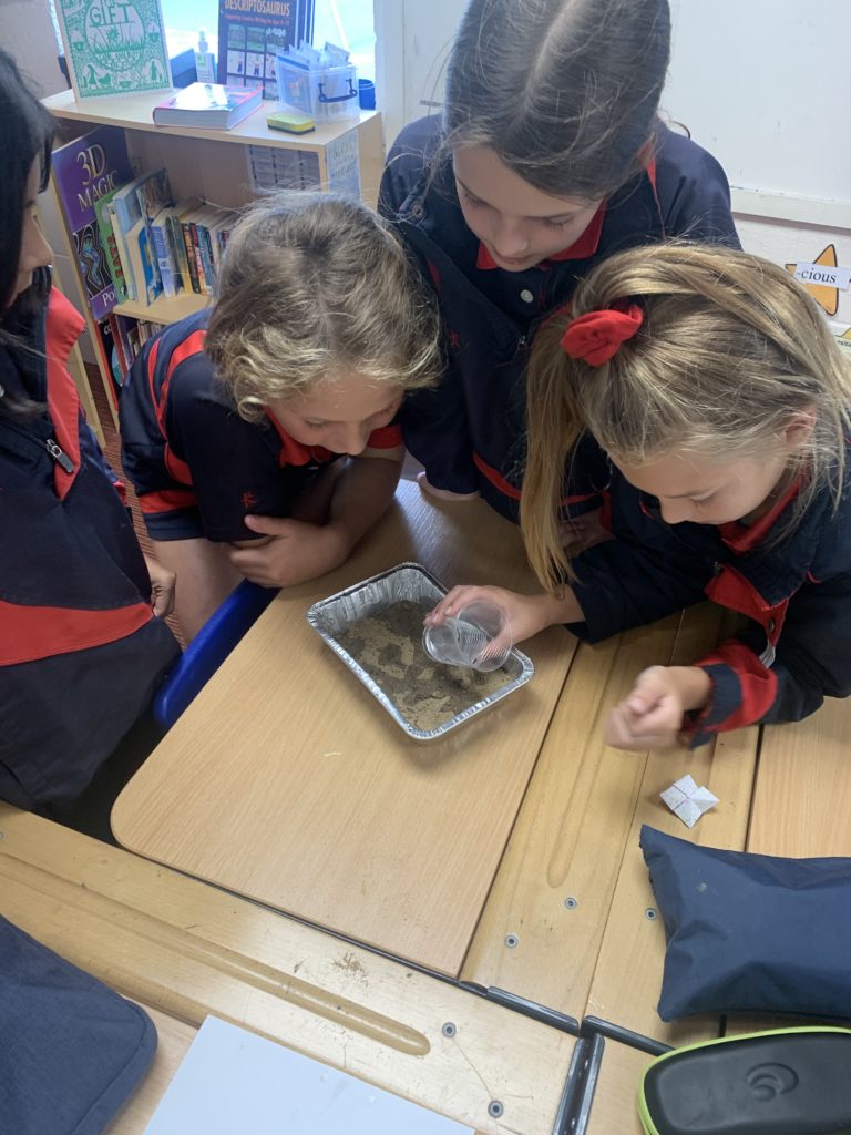 Mountain formation investigations, Copthill School