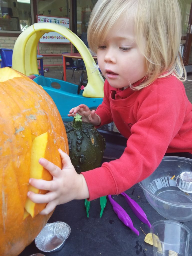 Pumpkin Play, Copthill School