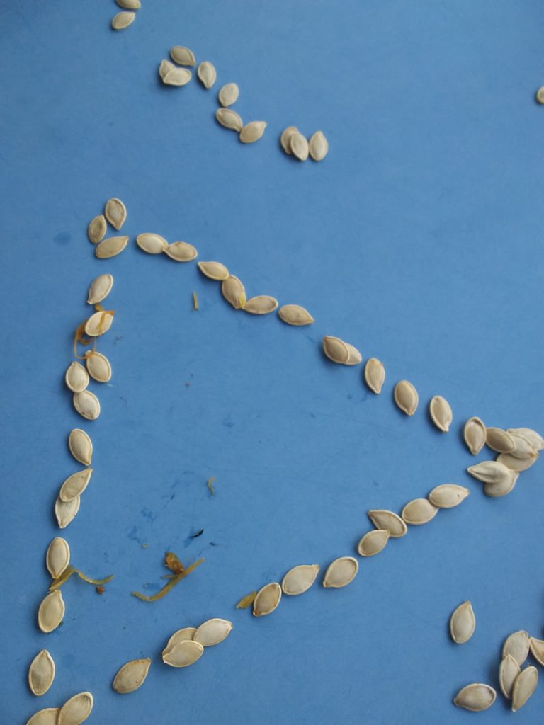 Pumpkin Seed Shapes, Copthill School