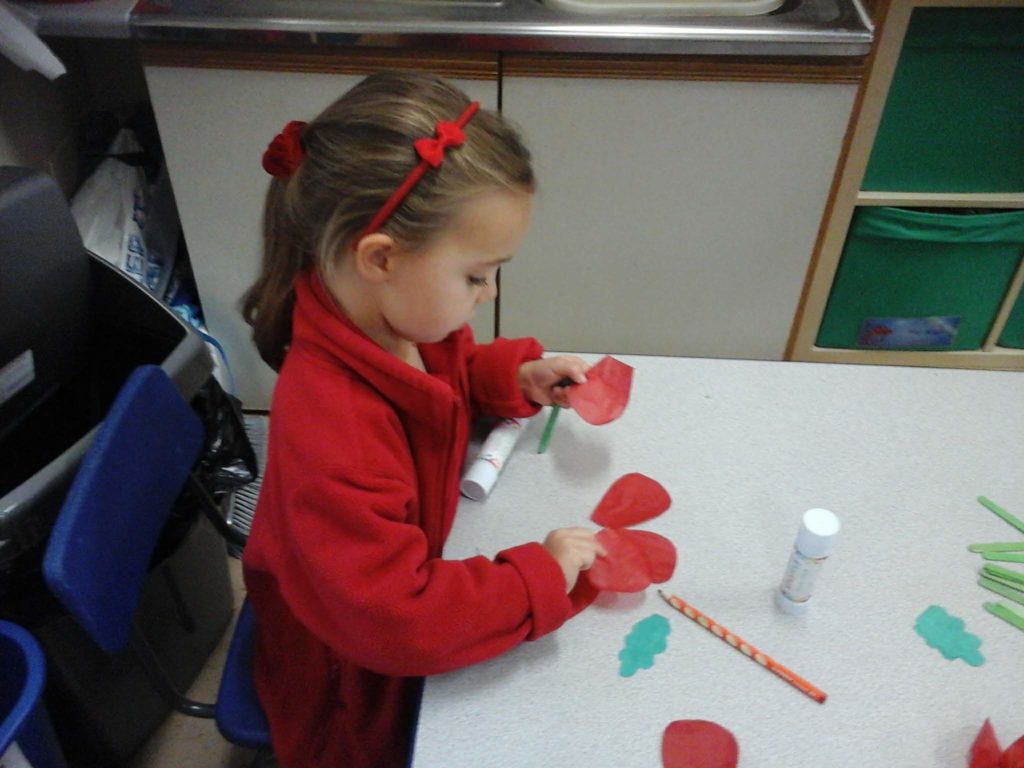 Poppies, Poppies Everywhere!, Copthill School