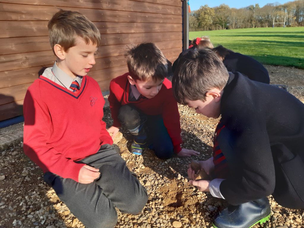 Fossil Hunting, Copthill School
