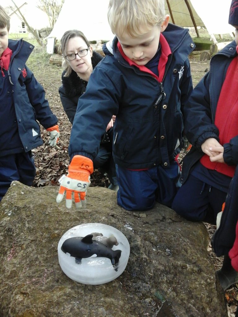 Saving our Polar Animals!, Copthill School