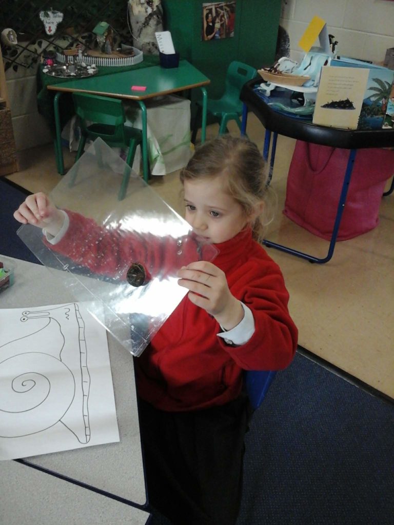 The Snail and the Whale!, Copthill School