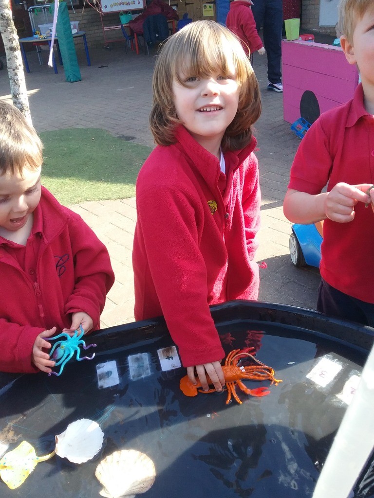 Water Play, Copthill School