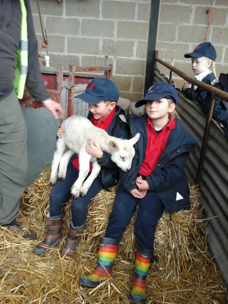 An Afternoon at the Farm!, Copthill School
