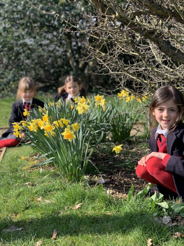 Spring has sprung!, Copthill School