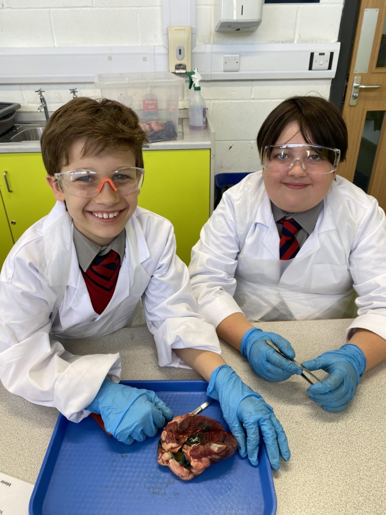 Heart and Lung Dissection, Copthill School