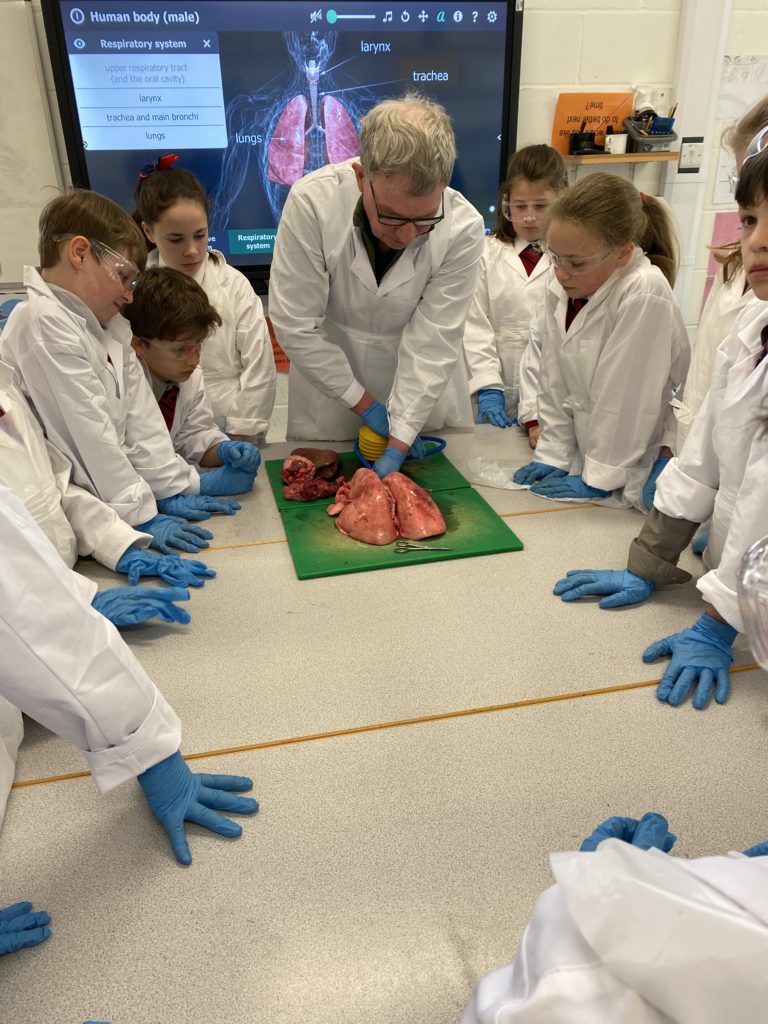Heart and Lung Dissection, Copthill School