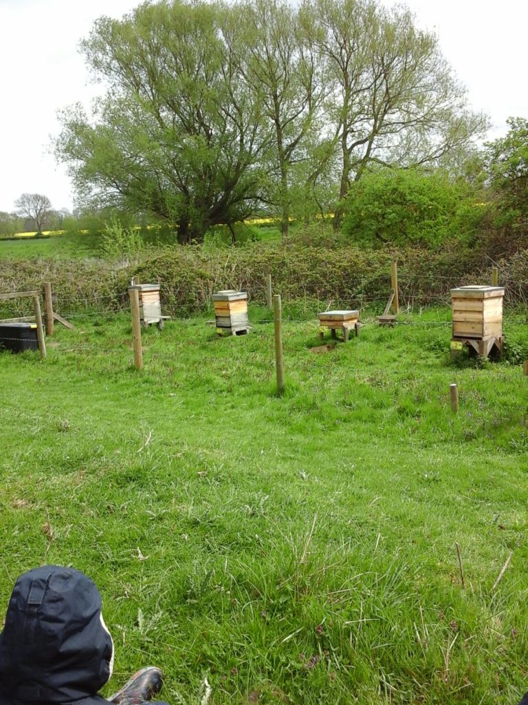 More Busy Bees, Copthill School