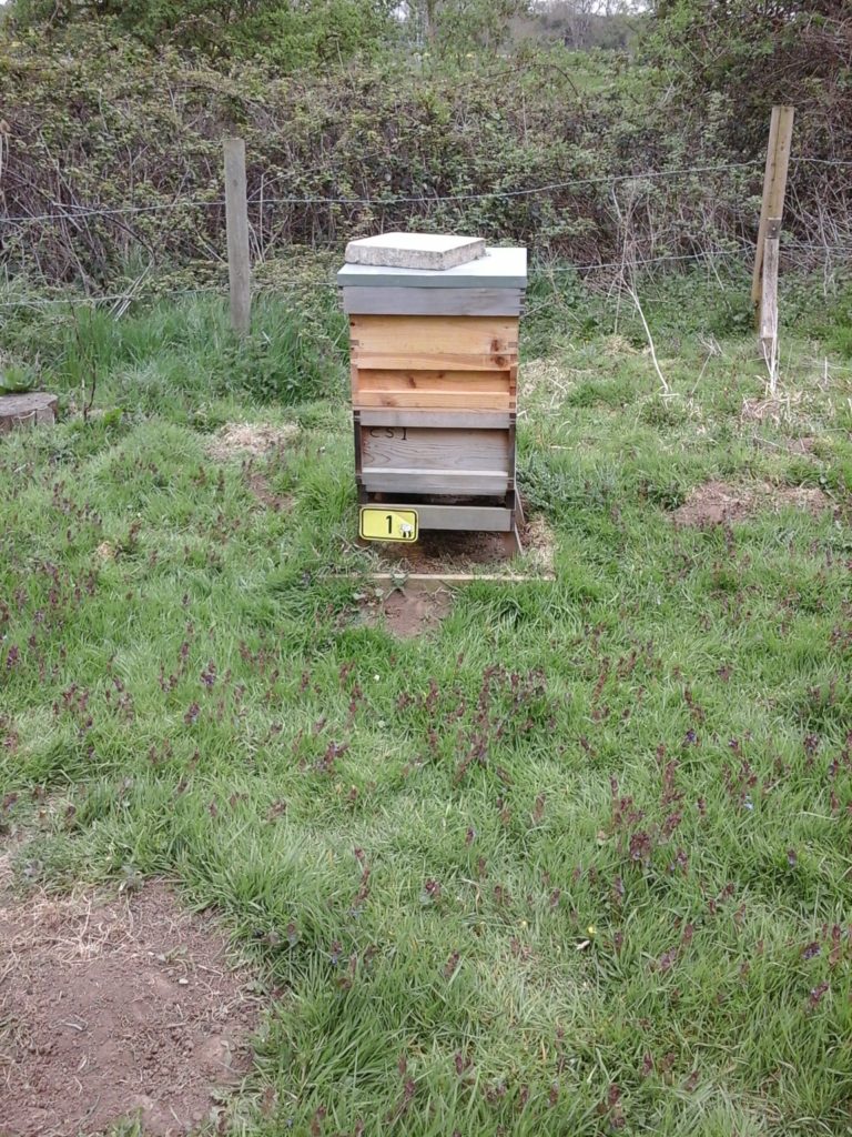 More Busy Bees, Copthill School