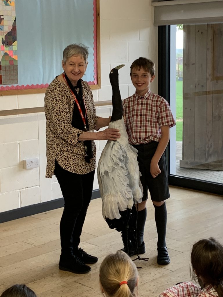 Brulo, Bhutan and the Black-Necked Cranes, Copthill School