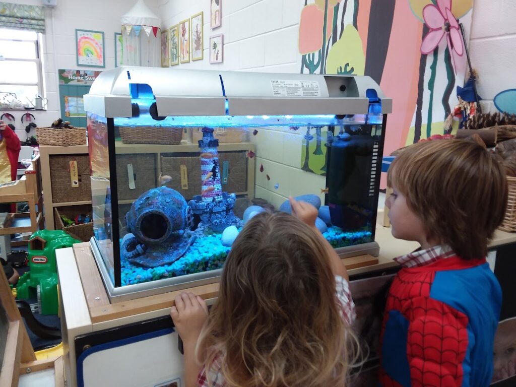 Our new fish!, Copthill School