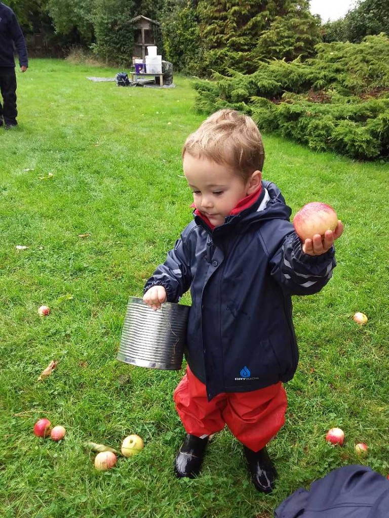 Harvesting the Apples, Copthill School