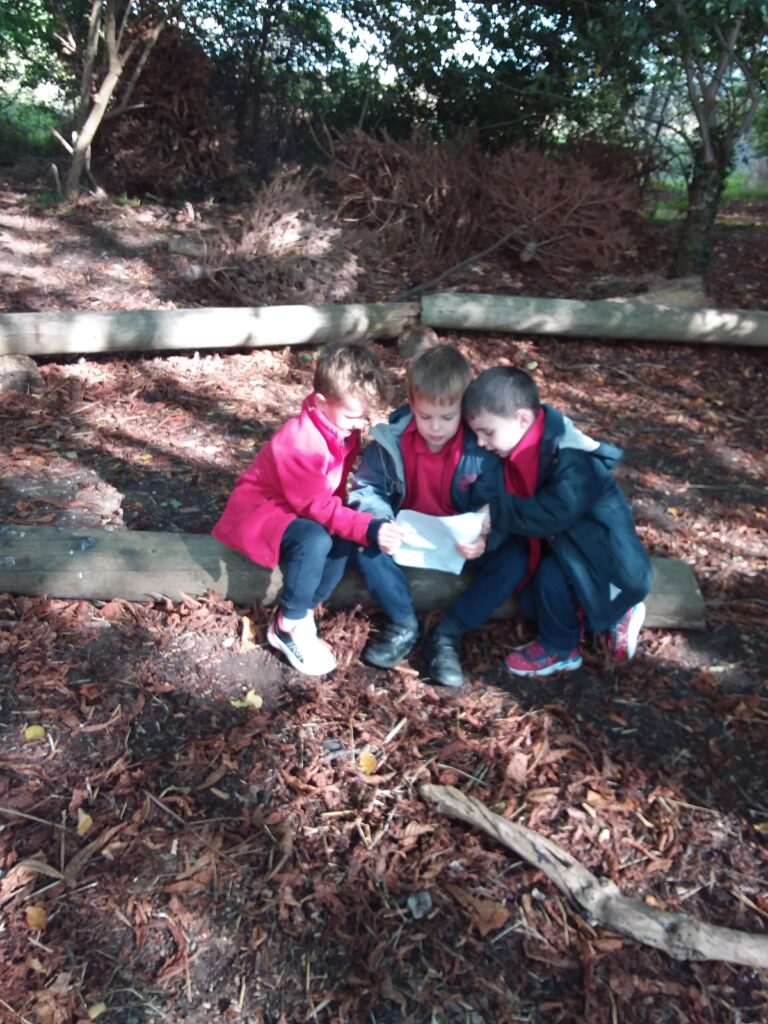 Fun in the forest and down on the farm&#8230;, Copthill School