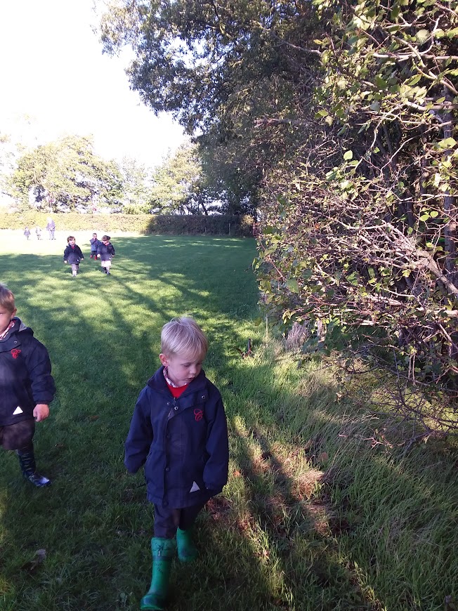 Autumn Walk, Copthill School