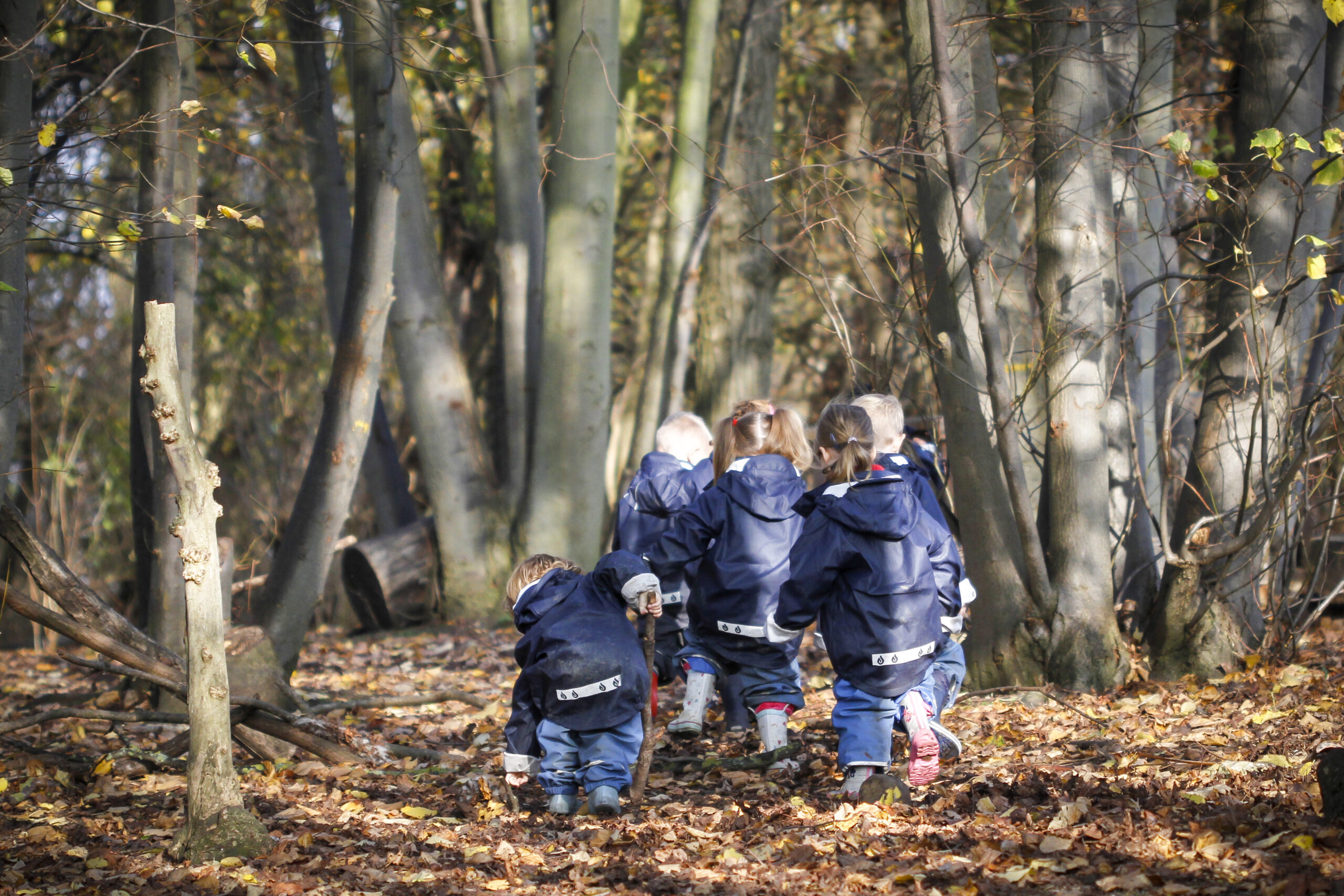The Forest School, Copthill School