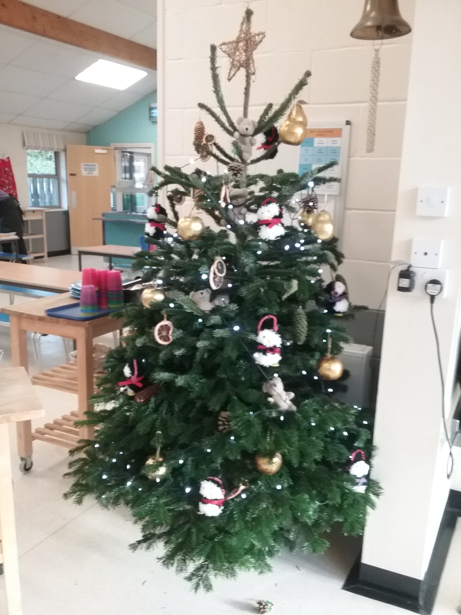 It&#8217;s beginning to look a lot like Christmas&#8230;, Copthill School