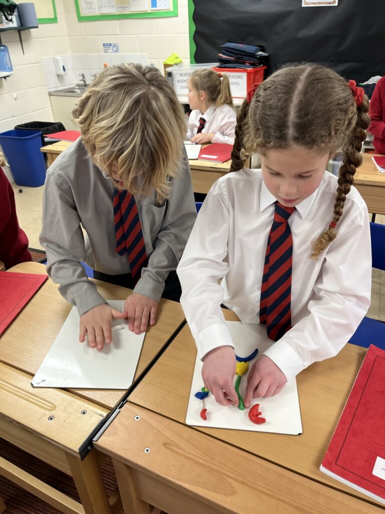 Year 4 Explore Digestion!, Copthill School