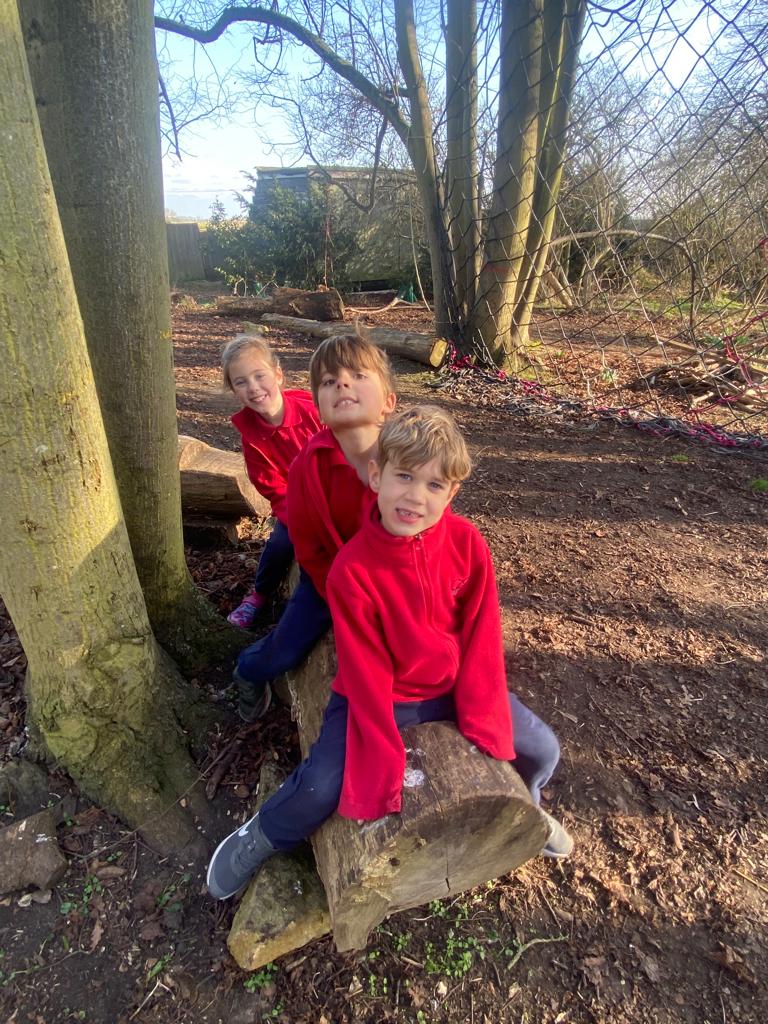 Into the woods, Copthill School