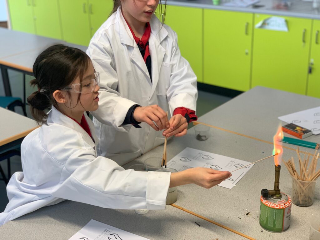 How do fireworks make different colours? Year 5 scientists find out&#8230;, Copthill School