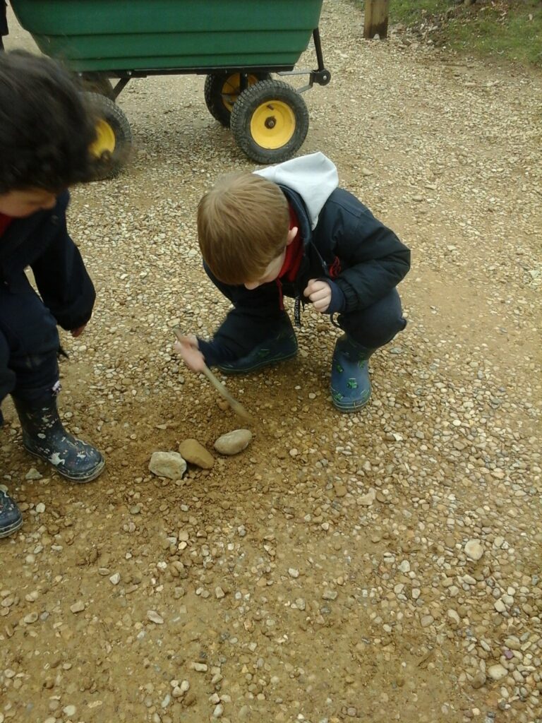Fossils, Fossils Everywhere!, Copthill School