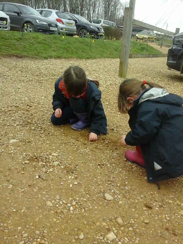 Fossils, Fossils Everywhere!, Copthill School
