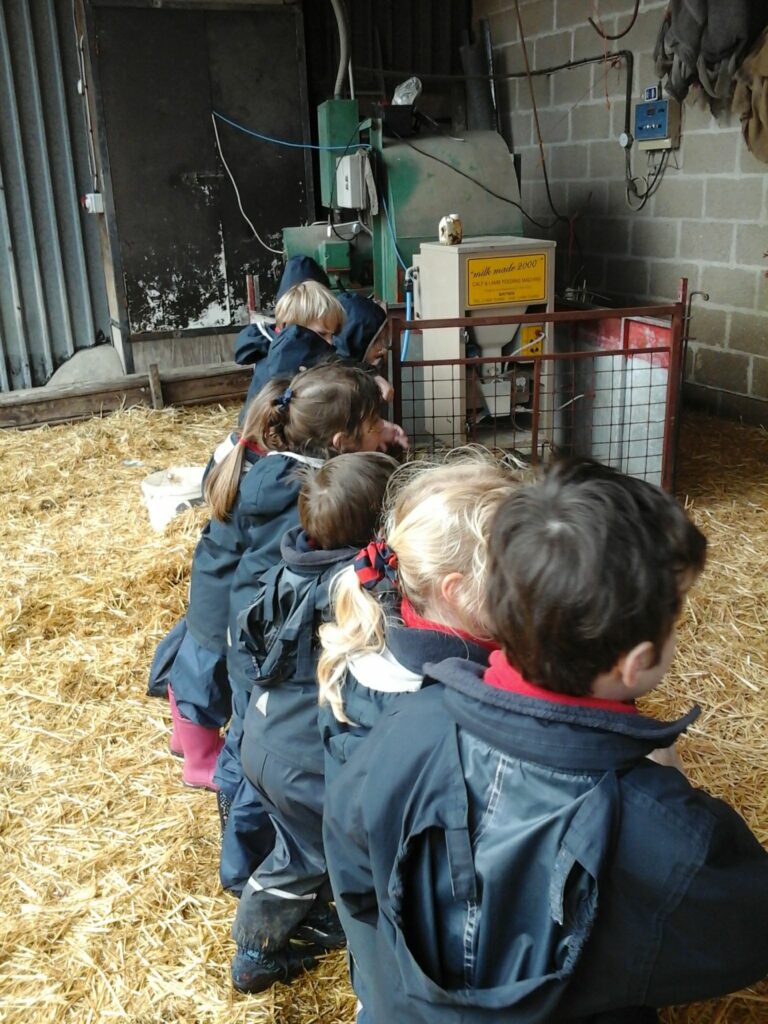 Visiting the Spring Lambs!, Copthill School