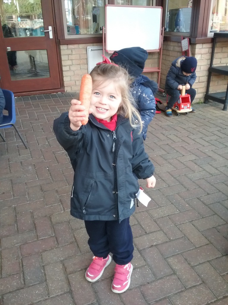 Carrot Hunt!, Copthill School