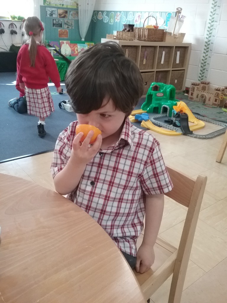 Oranges, Copthill School