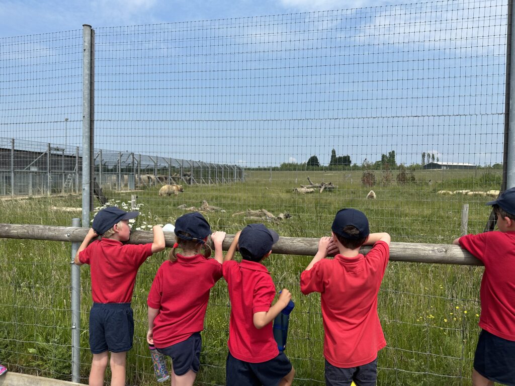 We&#8217;re going to the zoo, zoo, zoo&#8230;., Copthill School