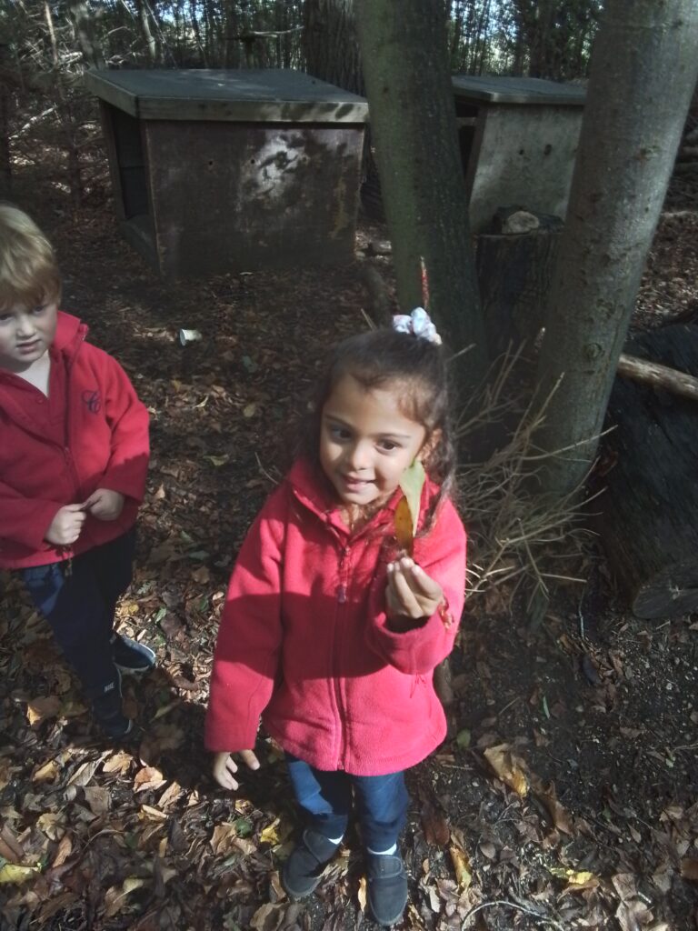 Woodland Adventures!, Copthill School