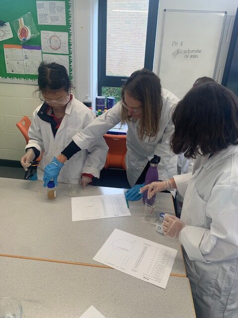 Year 5 scientists investigating, Copthill School