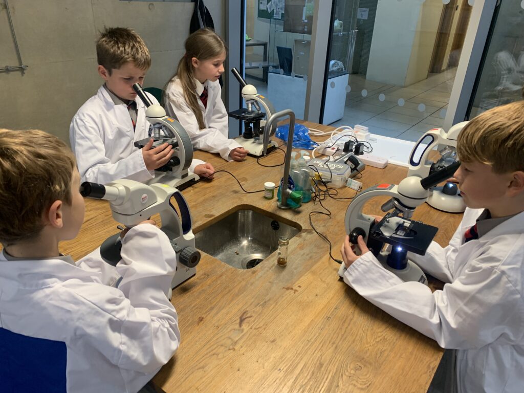 Scientists of the future, Copthill School