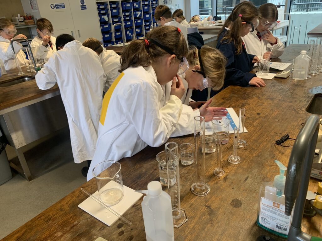 Scientists of the future, Copthill School