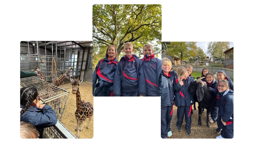 Woburn Safari Park and MP visit!, Copthill School