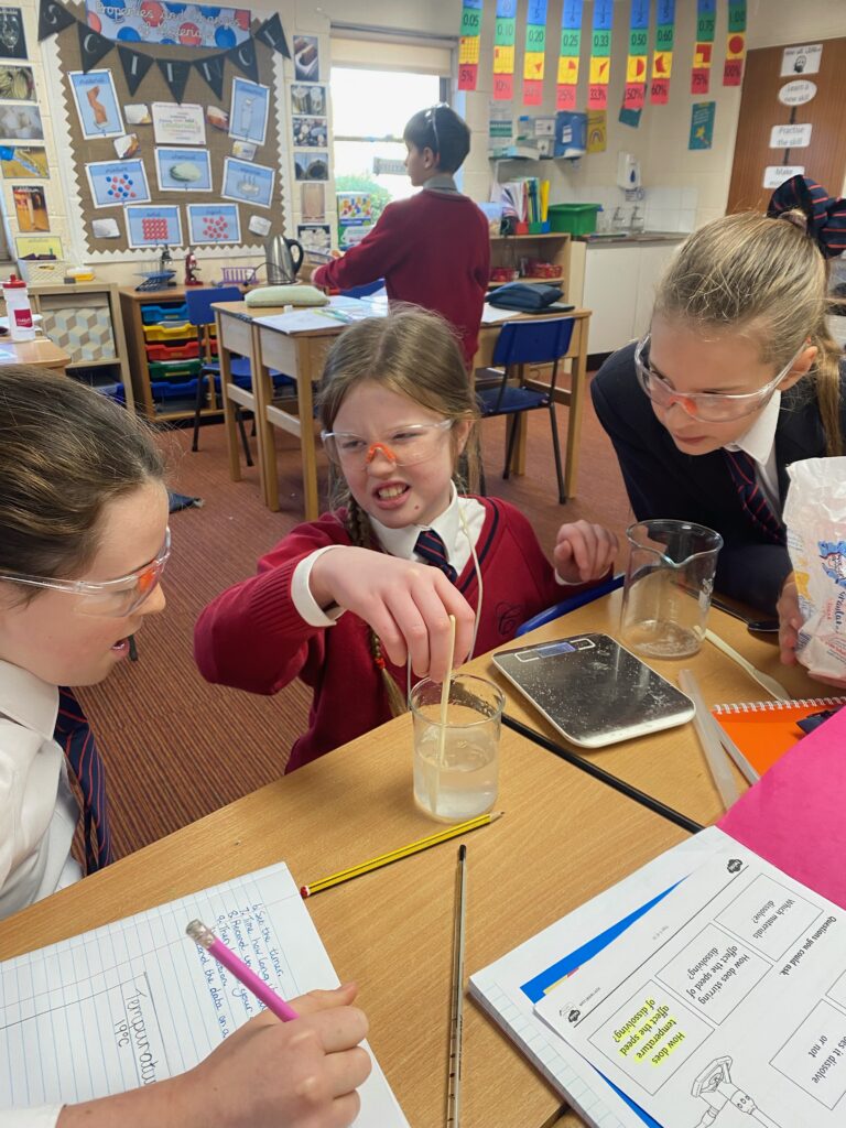 Digestive Systems and Dissolving!, Copthill School