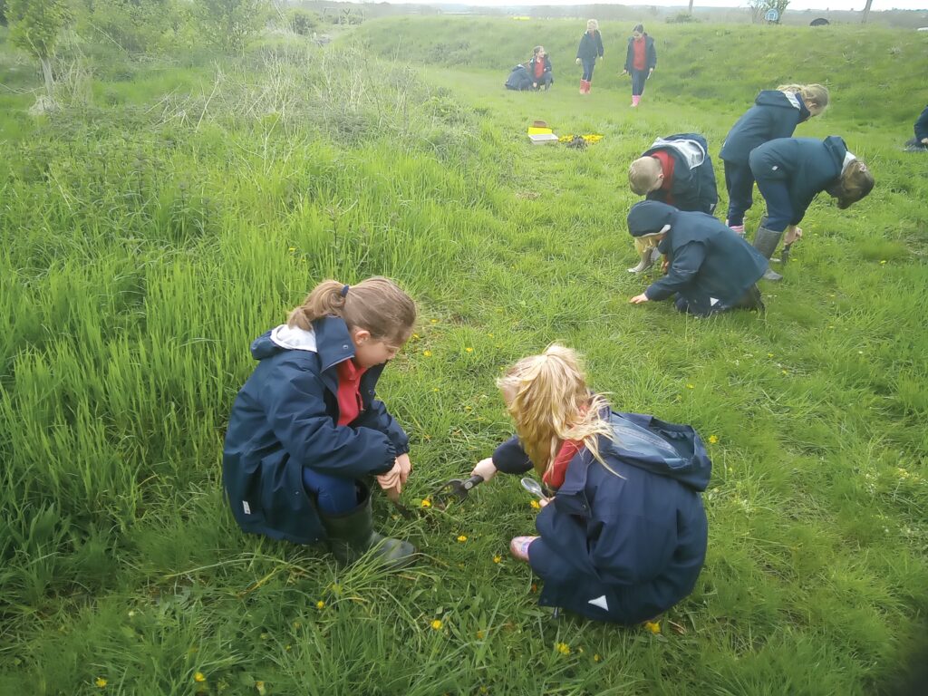 Taking our science outdoors!, Copthill School