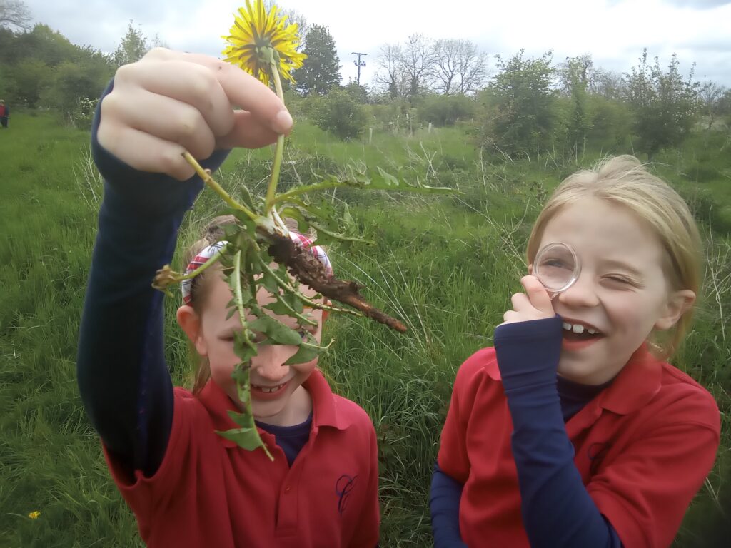 Taking our science outdoors!, Copthill School