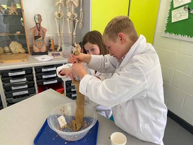 Hands on science- making poo with Y6!, Copthill School